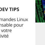 Image d'illustration pour l'article des commandes linux