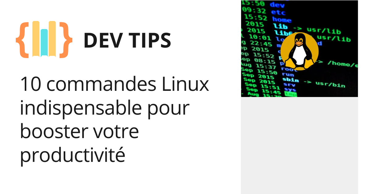 Image d'illustration pour l'article des commandes linux